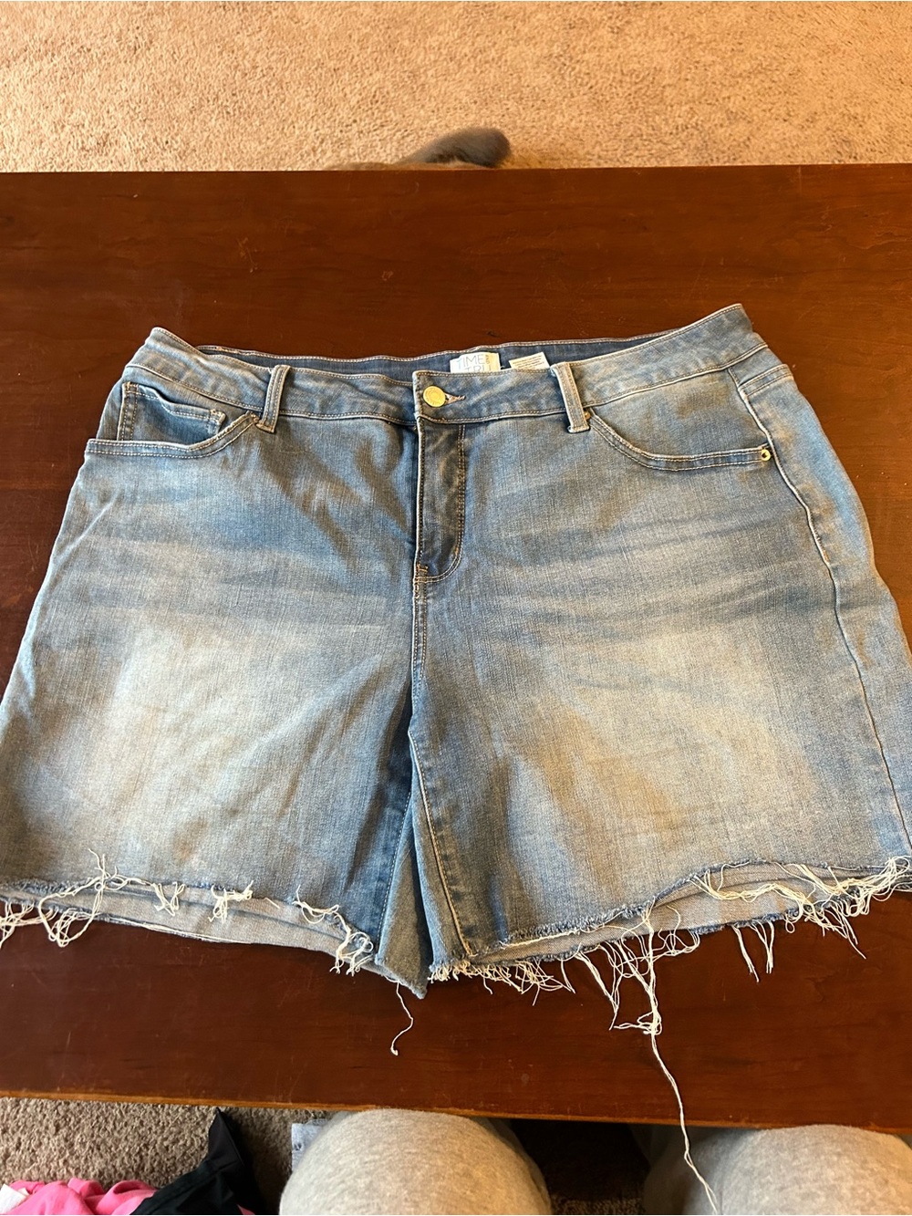Time and Tru Light Blue Distressed Denim Shorts